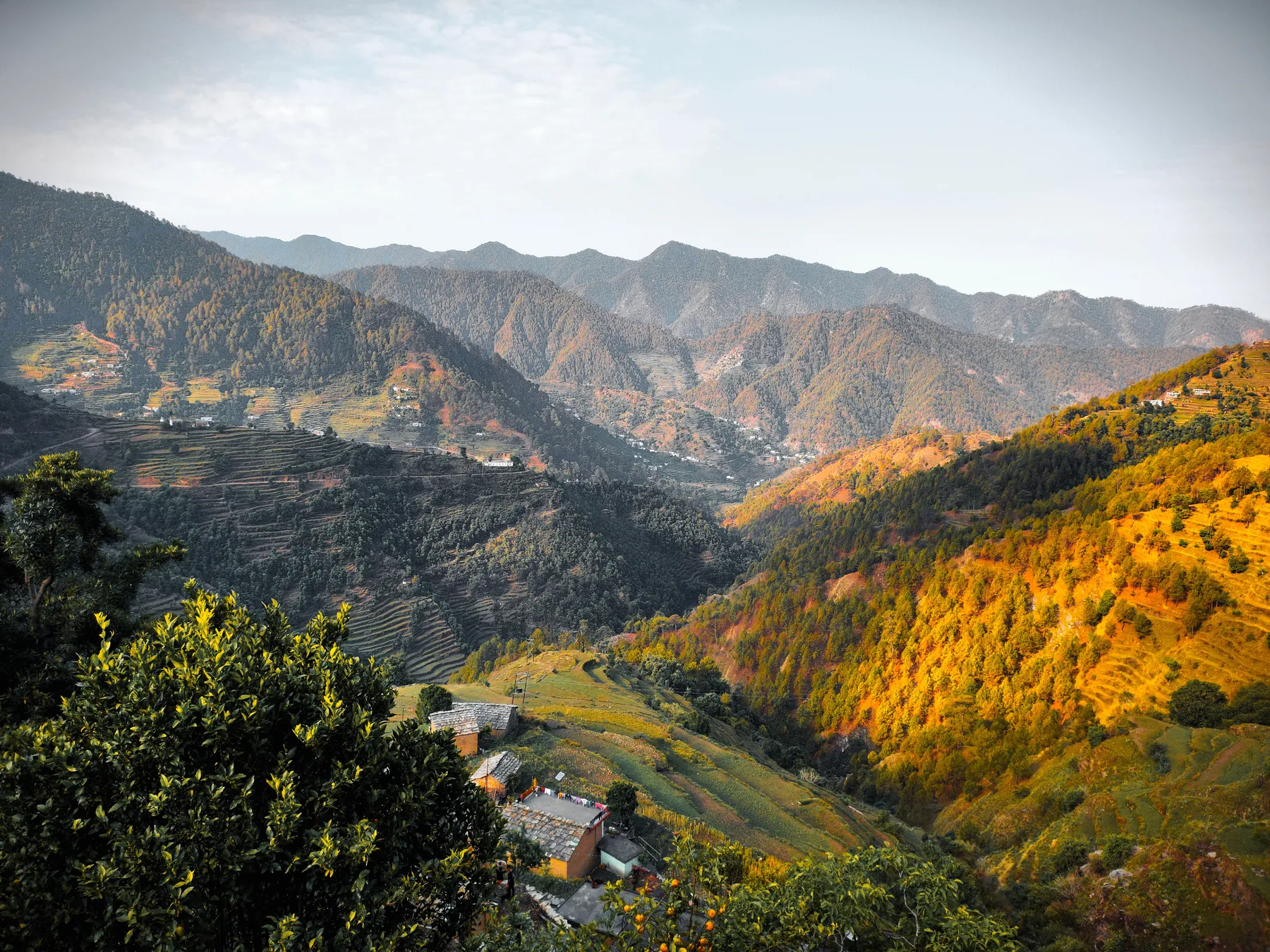 Wide view of a green Uttarakhand valley and terraced hills